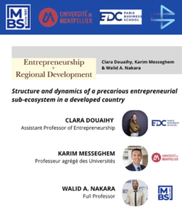 New publication - Structure and dynamics of a precarious entrepreneurial sub-ecosystem in a developed country