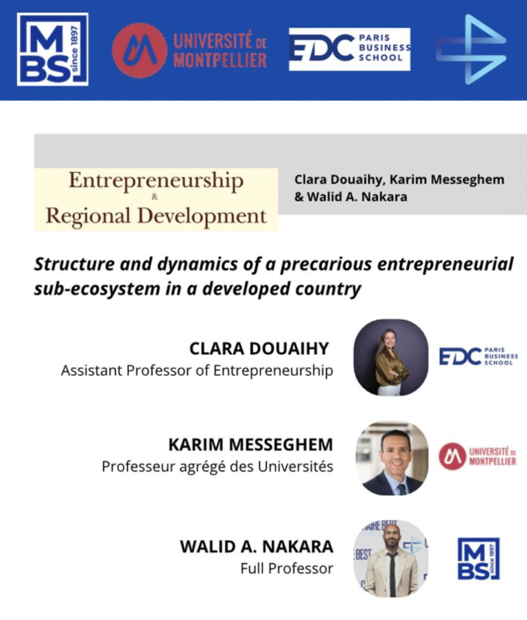 New publication - Structure and dynamics of a precarious entrepreneurial sub-ecosystem in a developed country